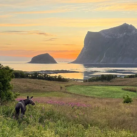 Haukland Panorama Lofoten Дом отдыха Лекнес