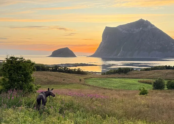 Haukland Panorama Lofoten Casa de Férias Offersoya