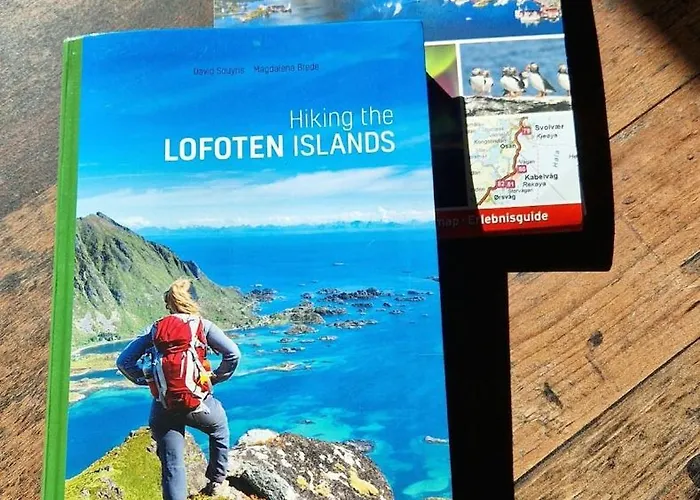 Ferienhaus Haukland Panorama Lofoten *